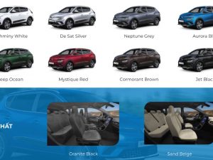 Màu xe ô tô điện Vinfast tại Vĩnh Phúc